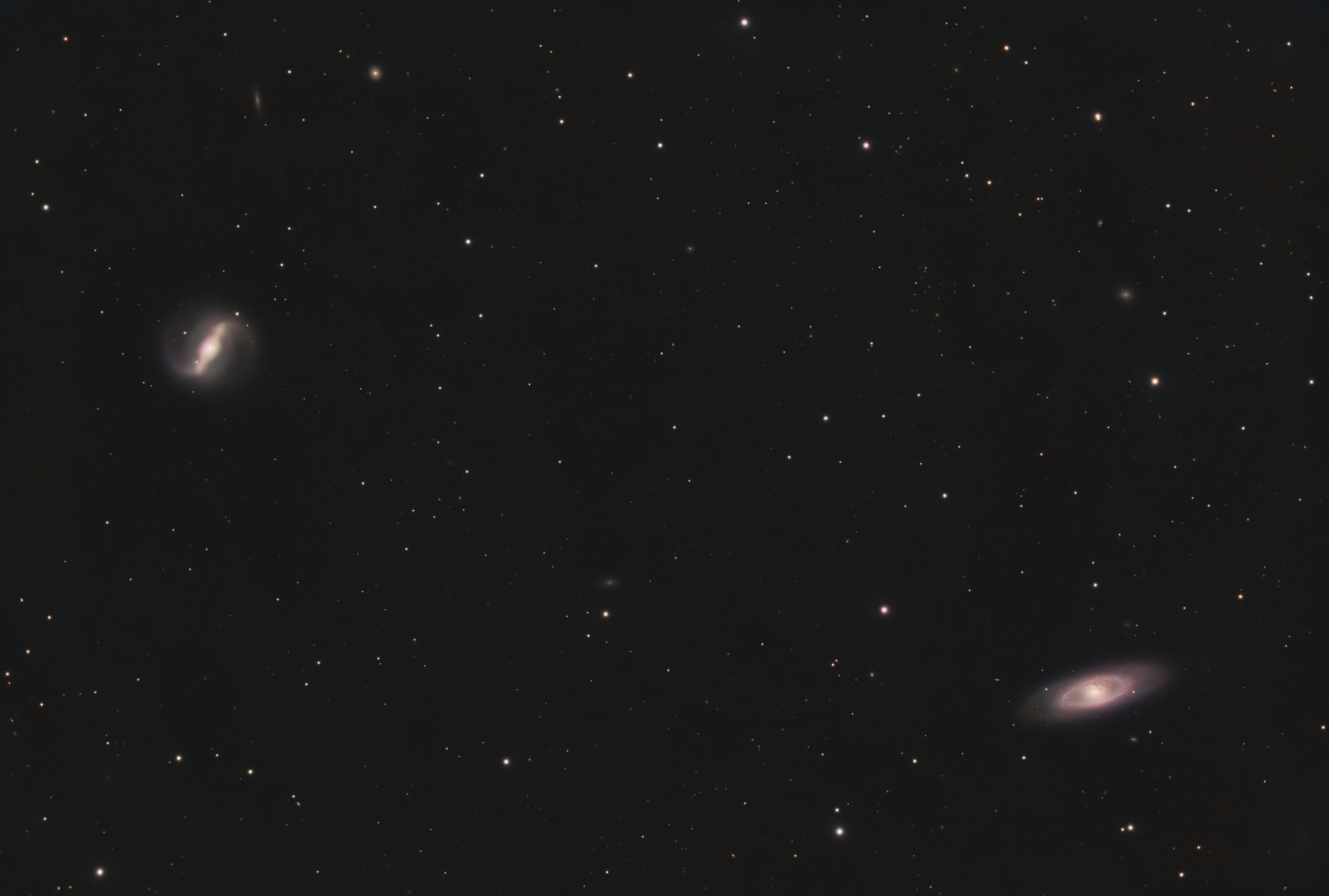 NGC4274-C8_RGB-finale.thumb.jpg.cb1bd4ce8d90ff330b16baa79c92f6bc.jpg