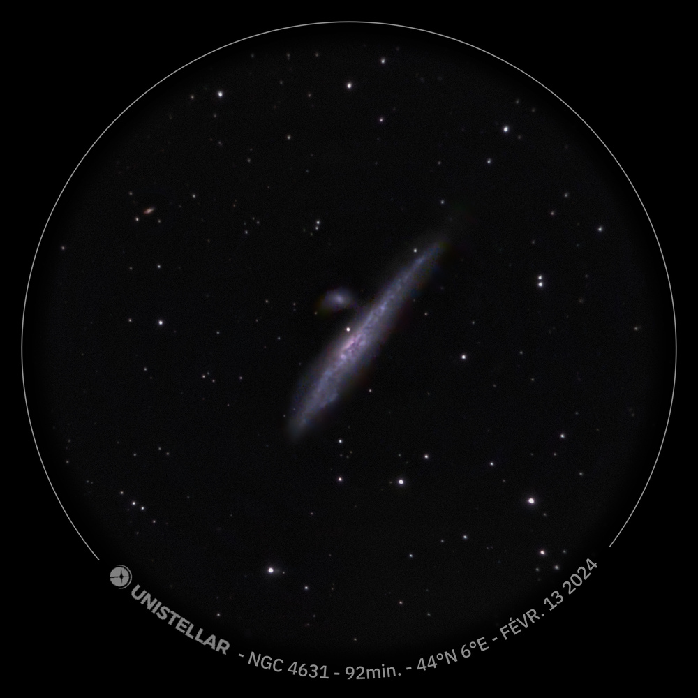 NGC4631_13fev2024_eVscope2.jpg.7148d9ff0dc479788e47bb3a2ad65e80.jpg