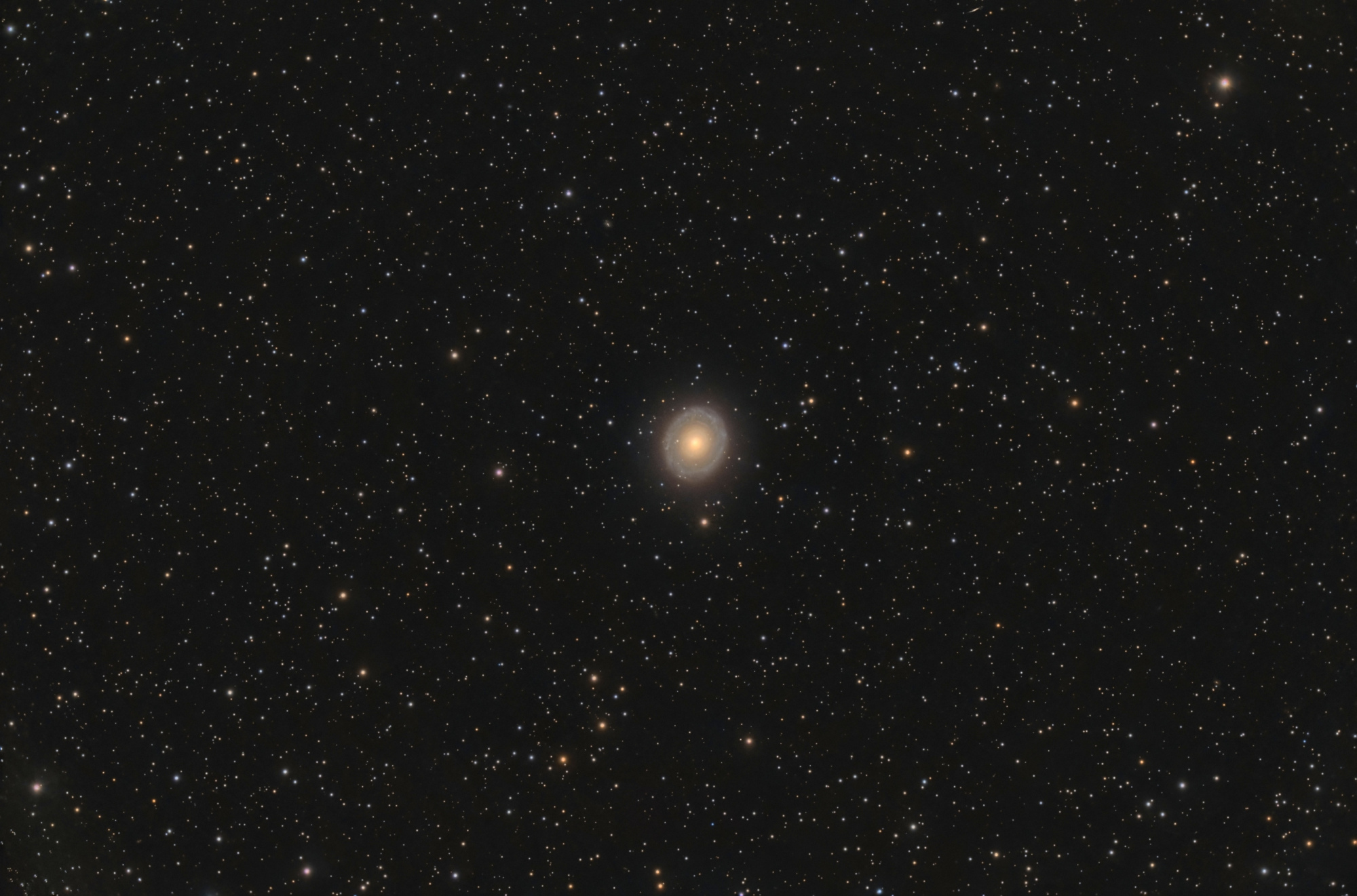 NGC7217_RGB-finale.thumb.jpg.1ef3b48fe68adb175cf532a9482a515b.jpg