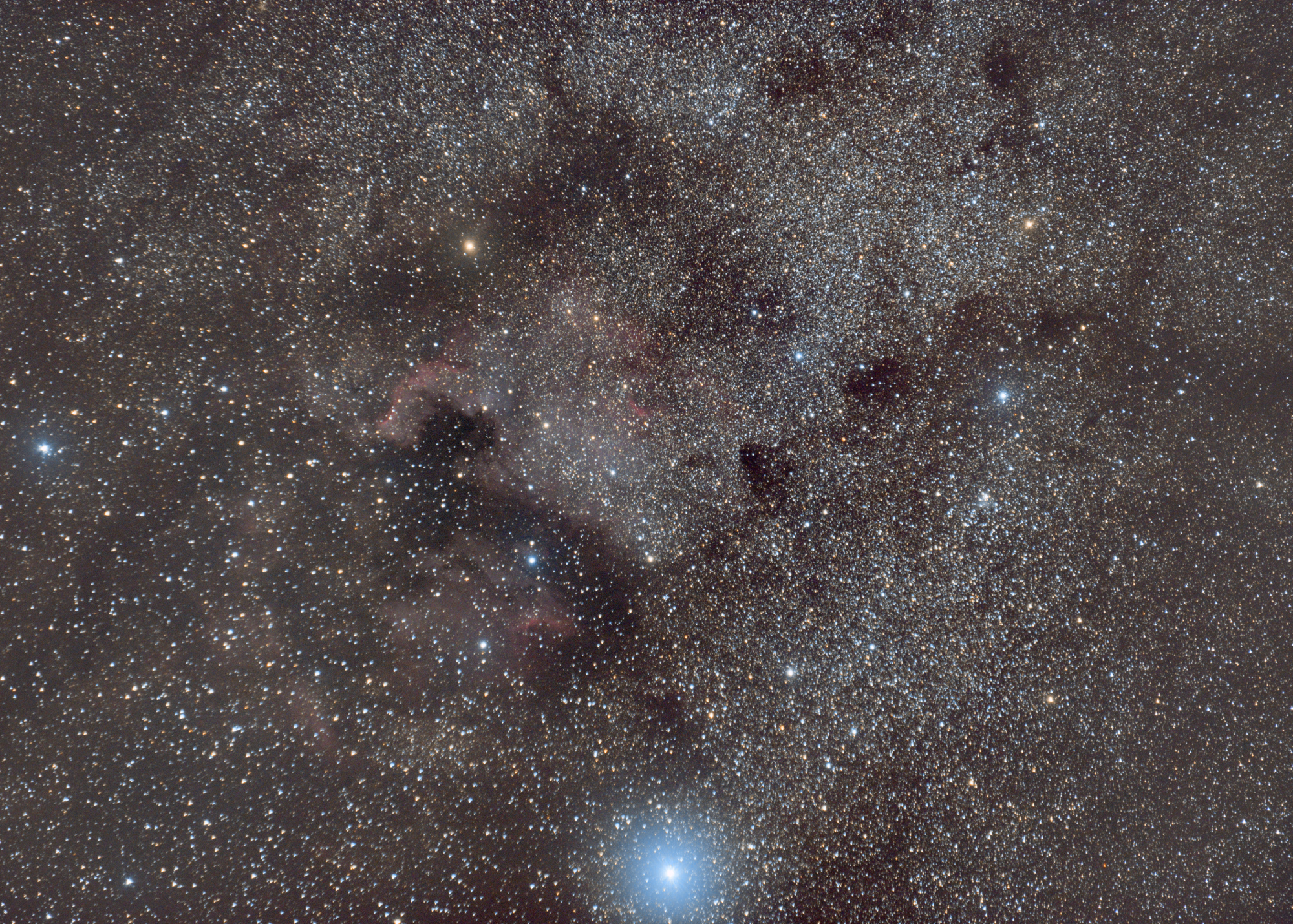 NGC_7000_135mm.jpg