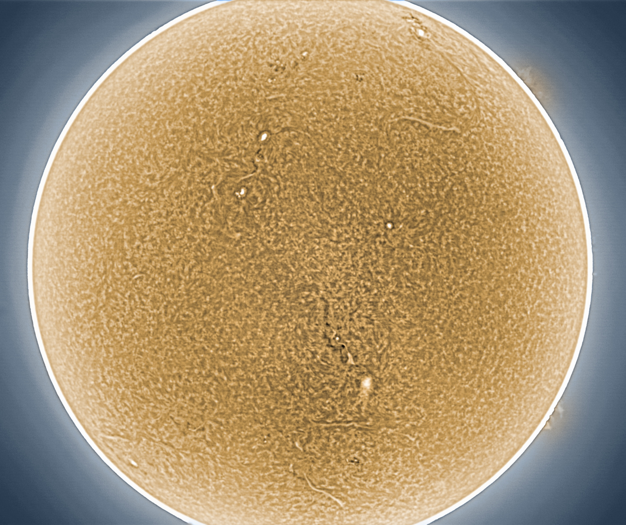 Sun-0441_4-U-L_Resample20.jpg