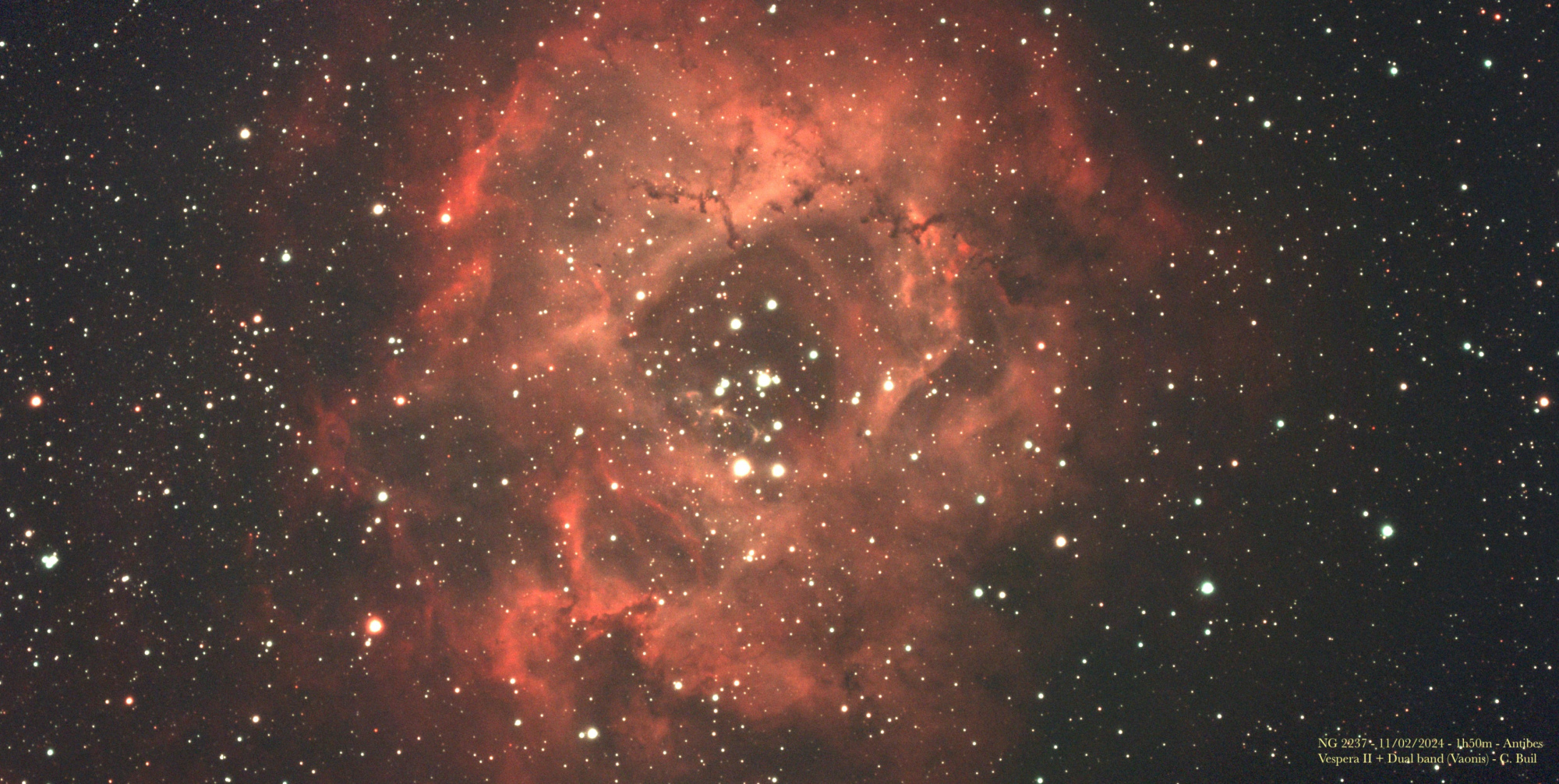 __NGC2237_11022024_1h50_dualband.thumb.jpg.3dfd2b762ab9ef72780d4352bcfbd64a.jpg