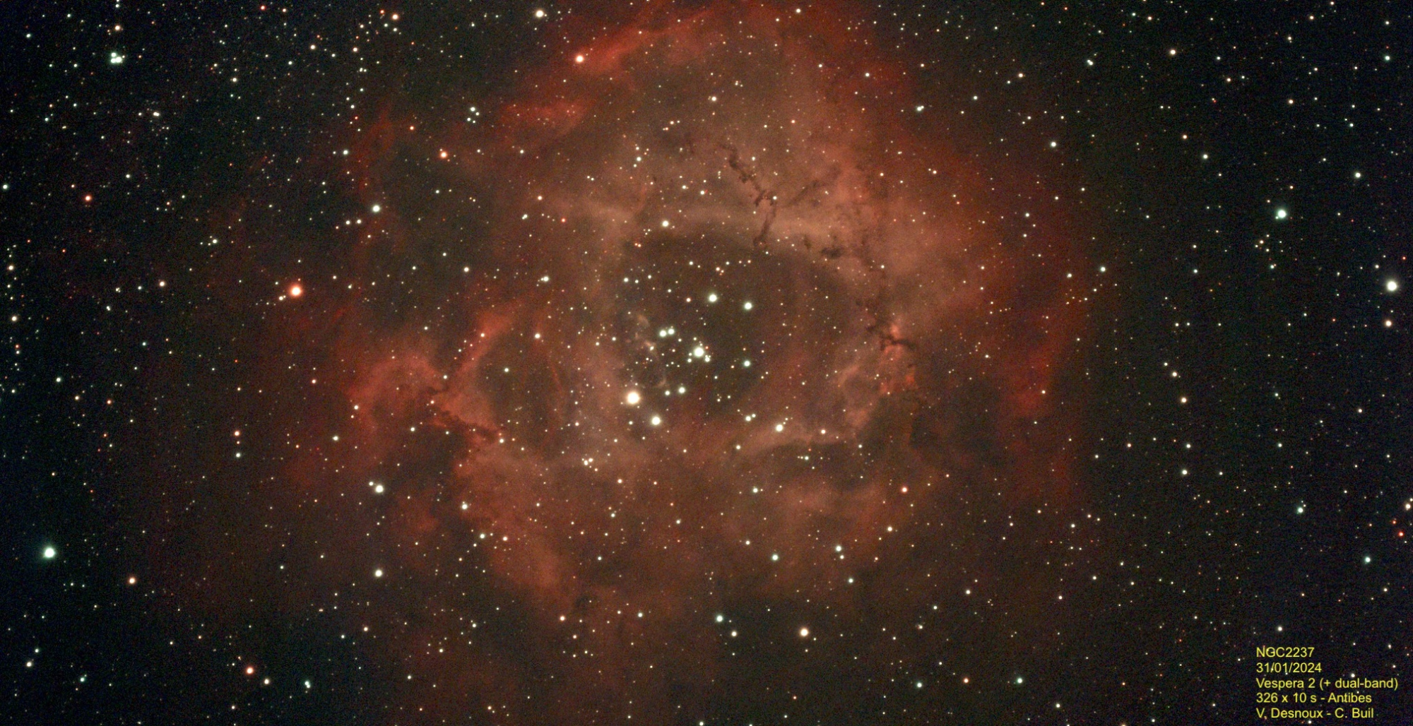 ___NGC2237.thumb.jpg.0112610200b4b884da78b479abe24ad4.jpg