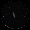 Messier 108 - 07 Fév 2024 - eVscope2.jpg