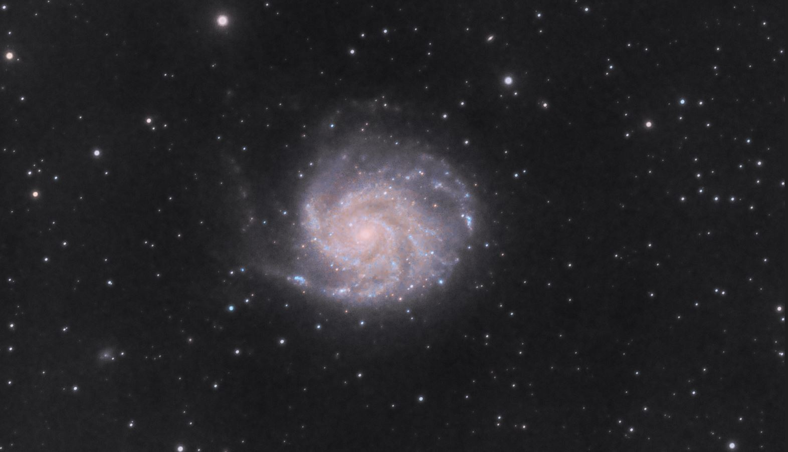M101.JPG.9da937c28bbd05855dddfb21550fe8cf.JPG