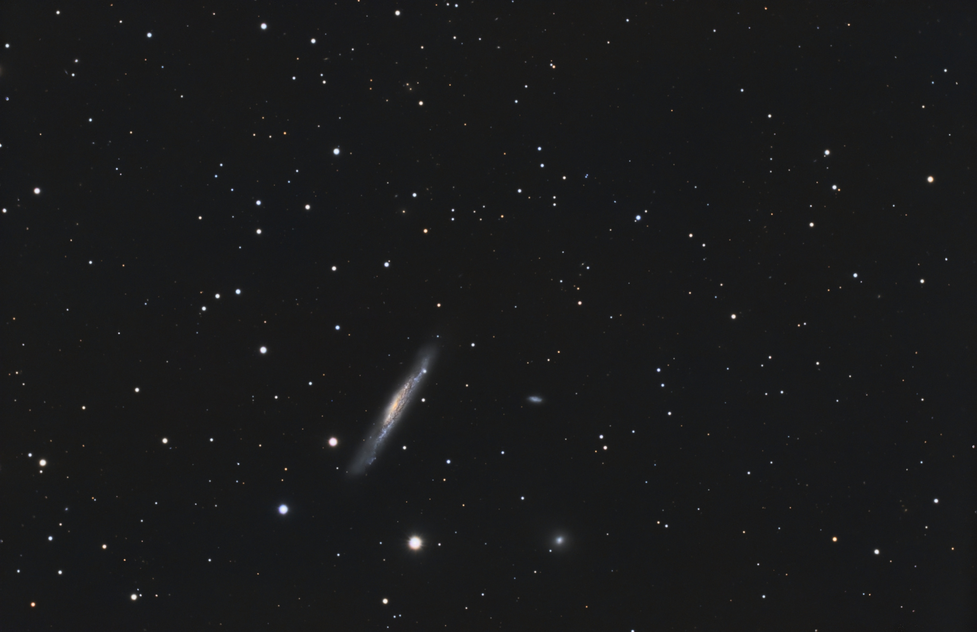 NGC3079-C8-RGB-result_finale.thumb.jpg.27815590a5c666d99af8caeb08c60cc4.jpg