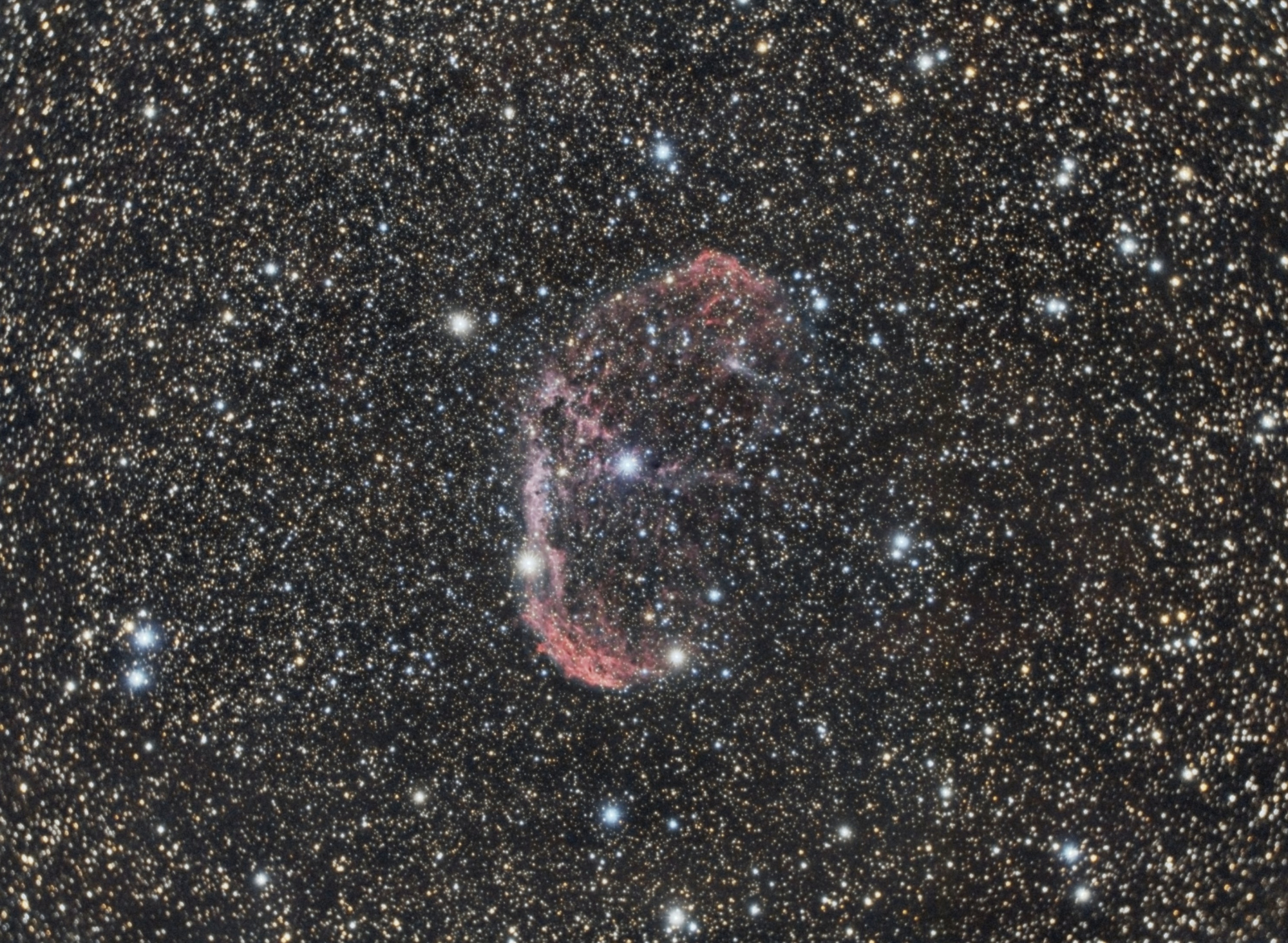 NGC6888_C8_Croissant_RGB_siril_gradient_photom_scnr_Pix-autoscript-edit_undo1-v1-finale.thumb.jpg.b058c50164265a2aa45beedfc191b9a3.jpg