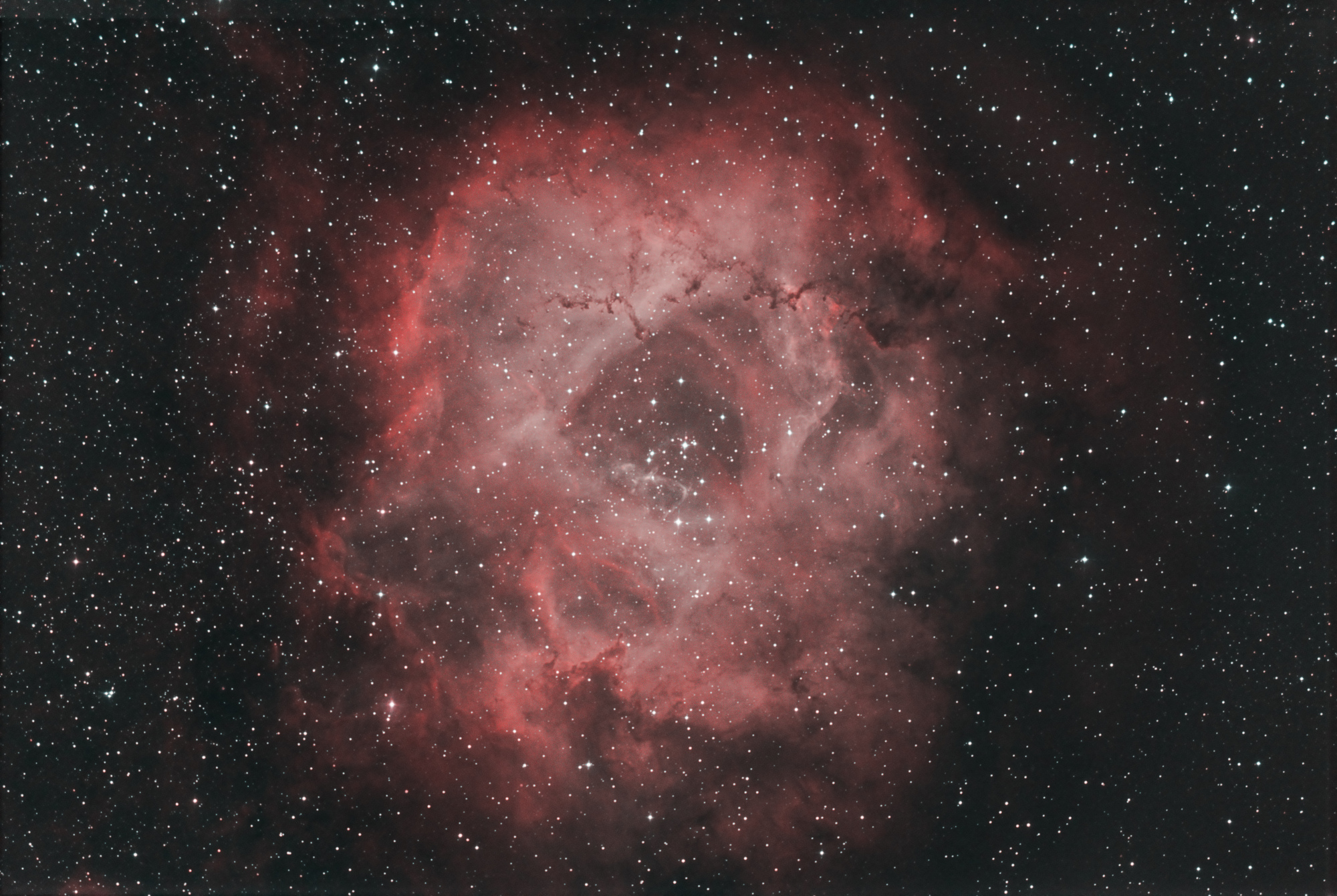 NGC_2244_HOO.thumb.jpg.f555dc1ab7178667839306bdfd5cdc92.jpg