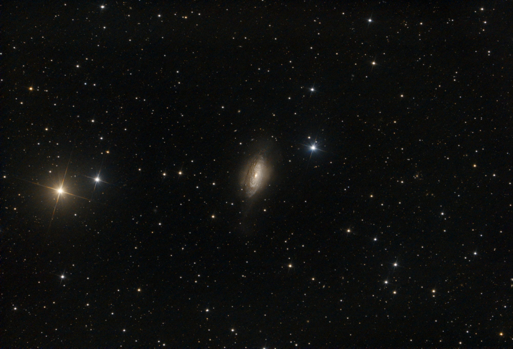 r_proc_NGC3521_HDR_comp.thumb.jpg.2b6982e9c28d7b3c76bf83125b6e7b05.jpg