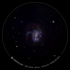 Galaxie NGC4375 - 08 mar 2024 - eVscope2.jpg
