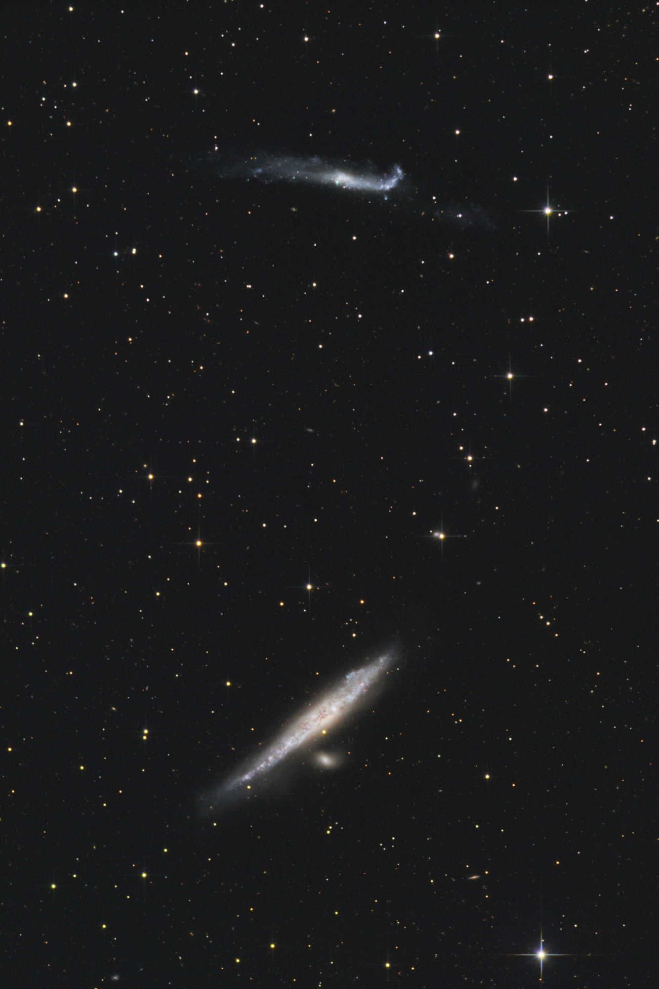 20240413_NGC4631_LRGBH_180sx(45 4x15)LRGB_recadree.jpg