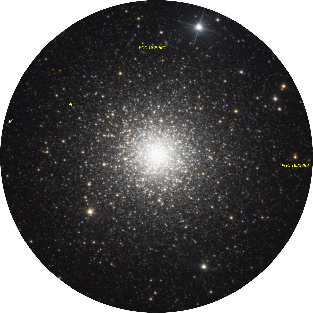 Crop_M3_galaxies_dedans.jpg.0148f5b4cddc0e46e59a72487ee78242.jpg