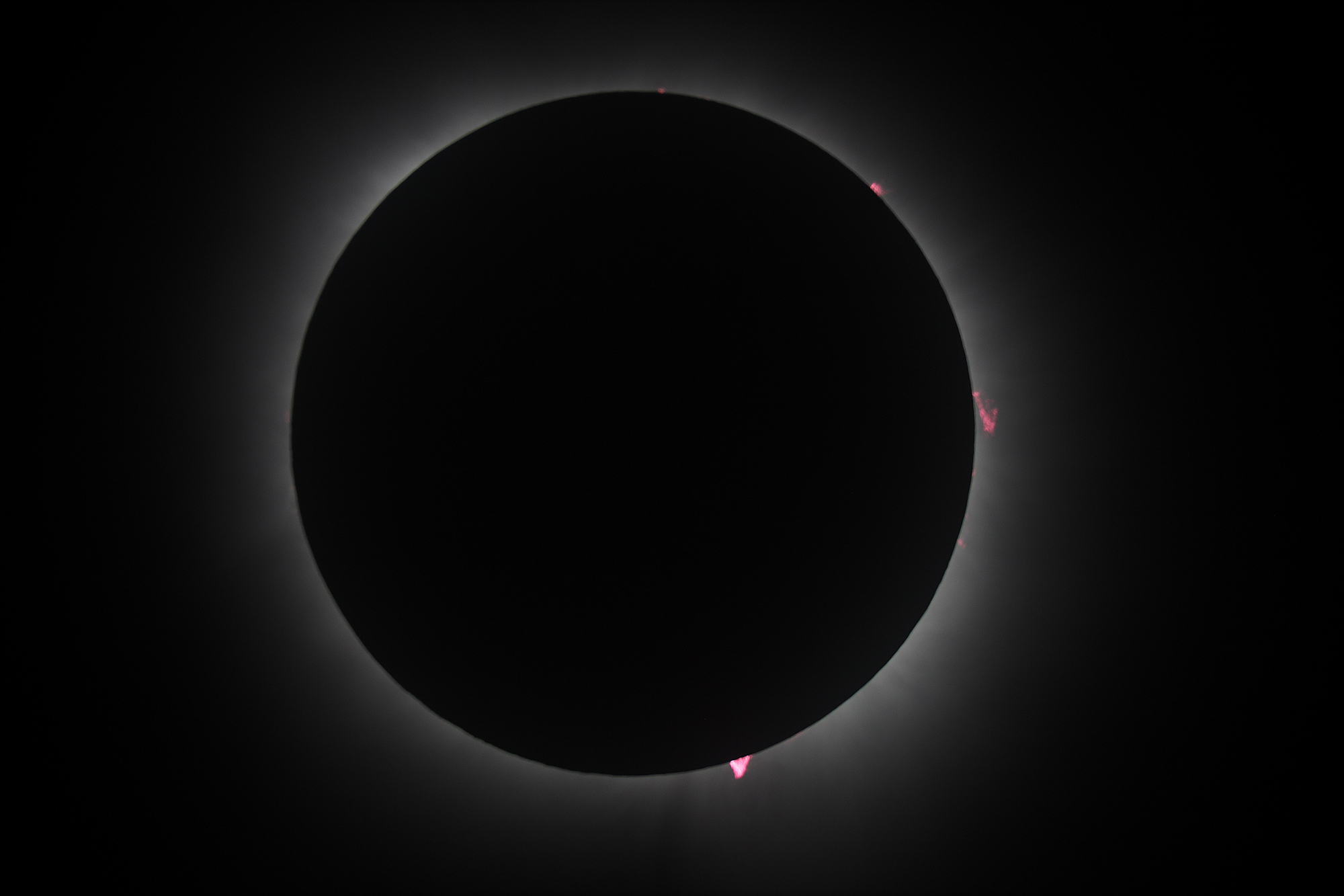 eclipse_8avril24_protu.jpg.4d8aeb2eea9f97d4207dc10c8f6405e2.jpg