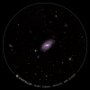 Galaxie_M109_13avril2024_eVscope2.jpg