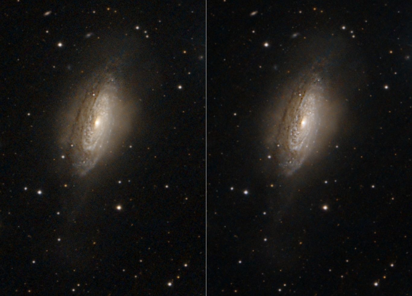 NGC3521_Avec_et_Sans_GraXpert.jpg.50347f5f74bb3efc1a48e8a5204132fa.jpg