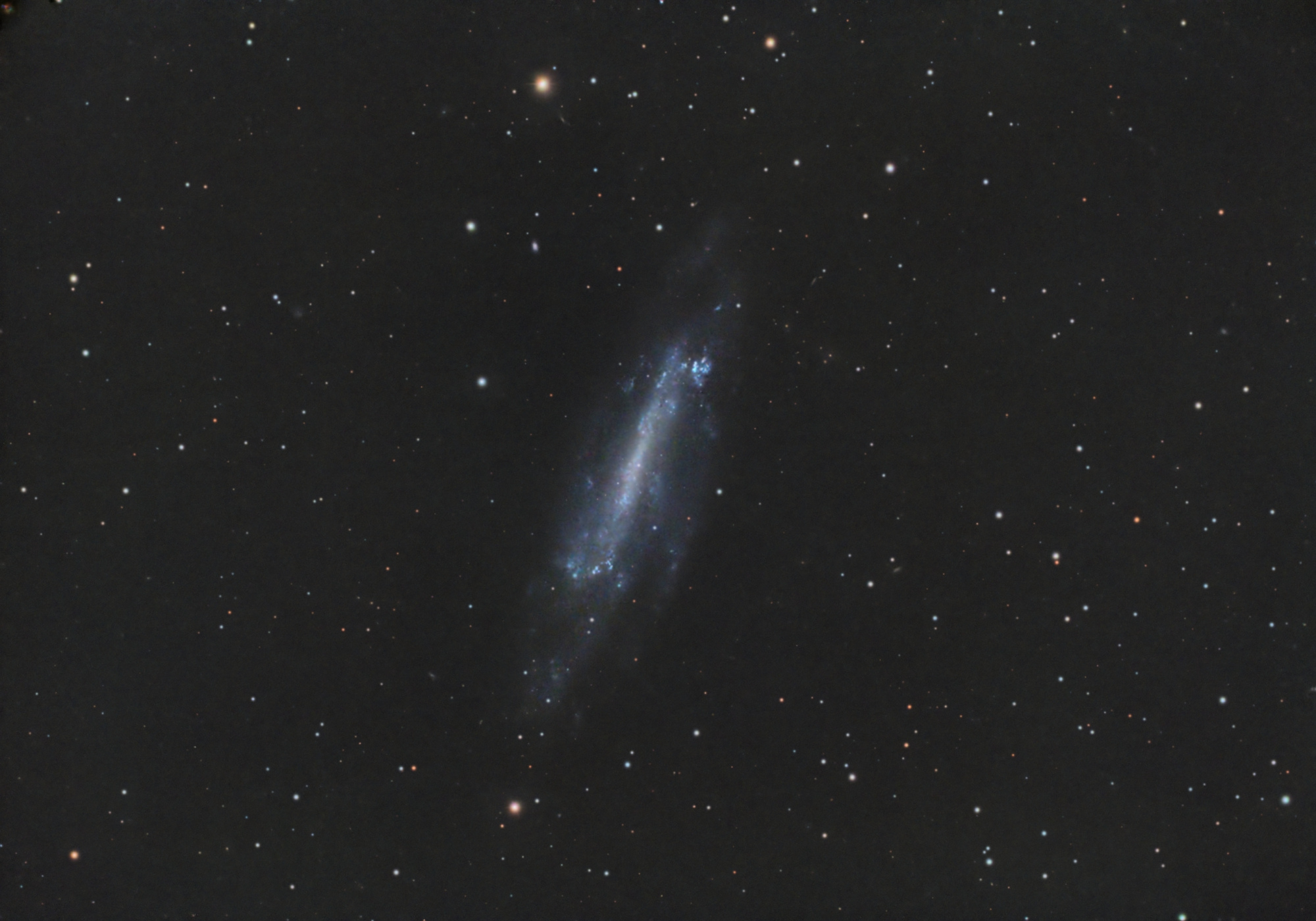 NGC4236-C8-Lquad_RGB-finale.thumb.jpg.622ac2886c673458a56271963a36f20a.jpg