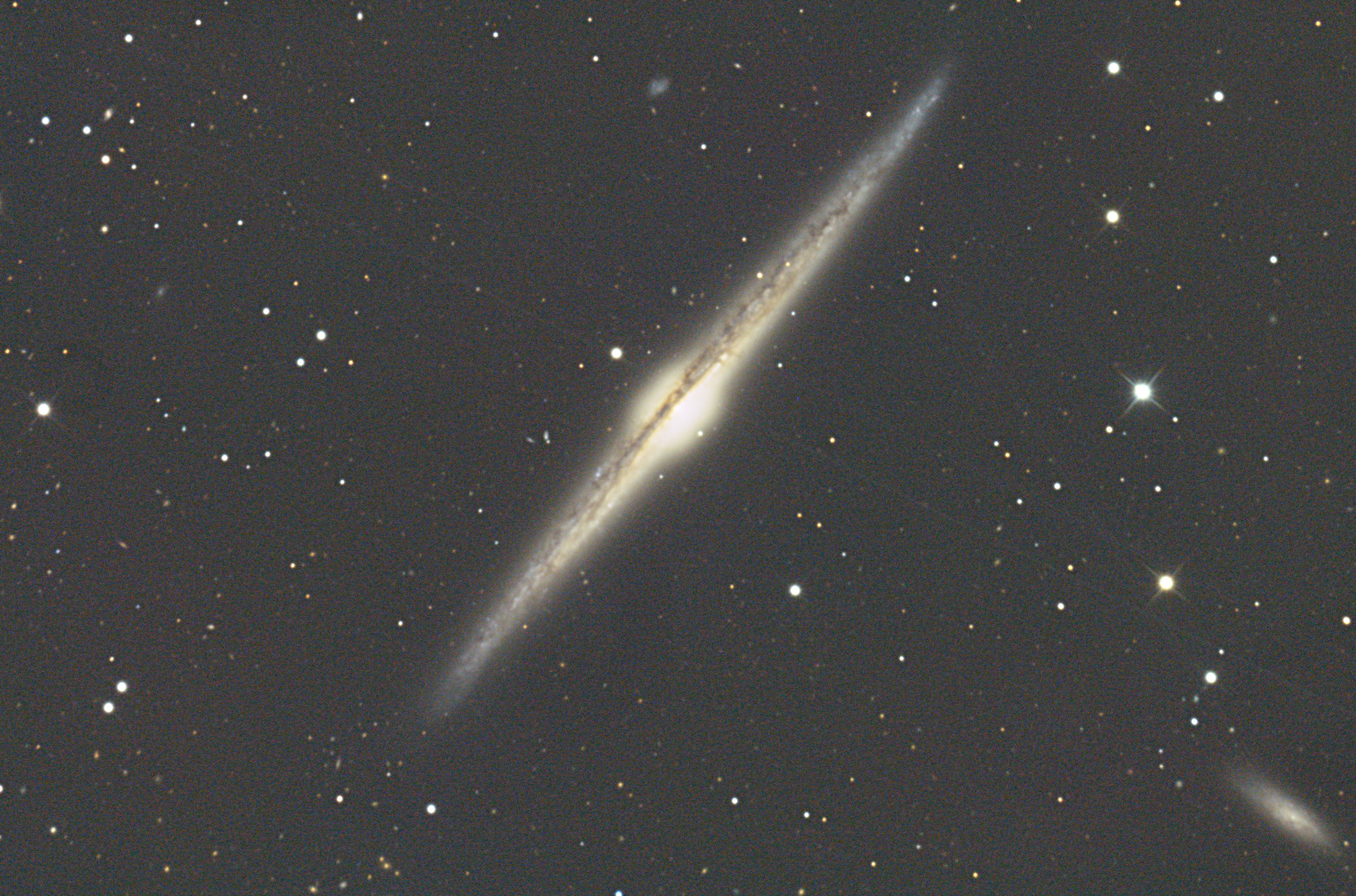 NGC_4565_siril.jpg