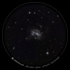Galaxie NGC 4395_09mai2024_eVscope2.jpg