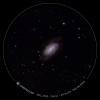 Galaxie_NGC2903_04mai2024_eVscope2.jpg