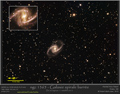 NGC 1365-ss