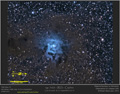 Iris NGC7023