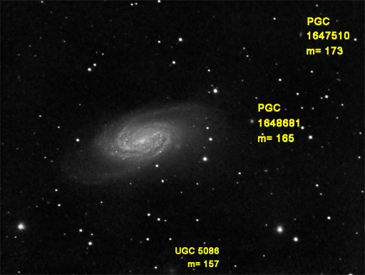 NGC2903 et ses voisines