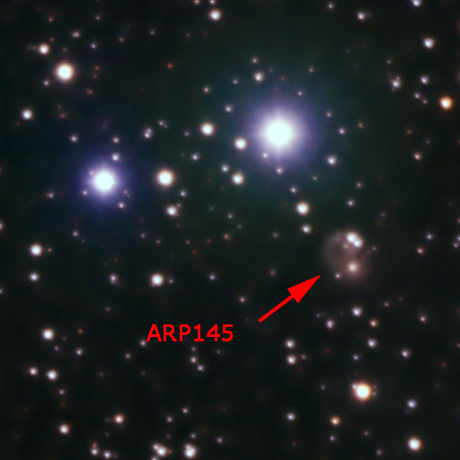 ARP145