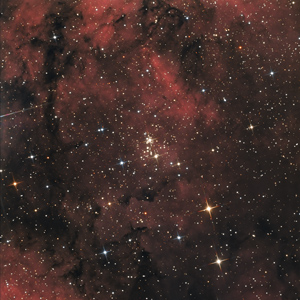 NGC6910 - HaRGB